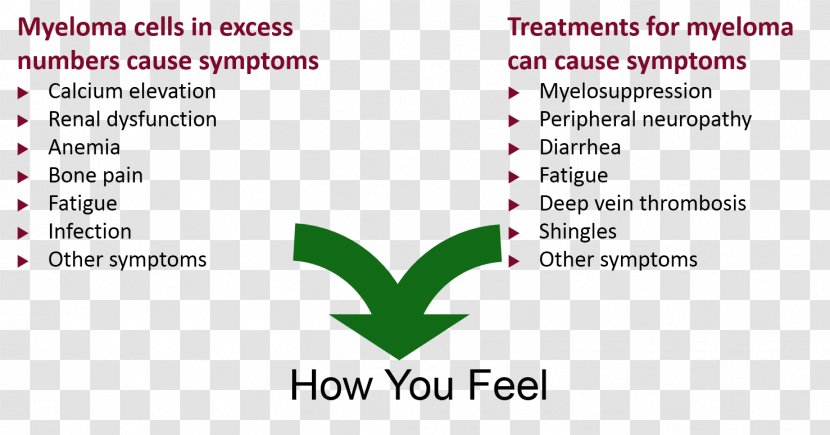 Myeloma Bone Disease Multiple International Foundation Symptom - Brand Transparent PNG