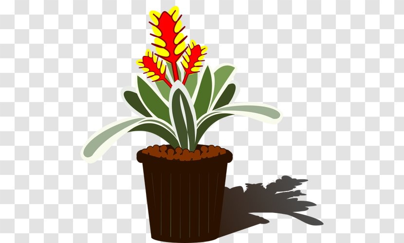 Clip Art Vector Graphics Houseplant Christmas Bromeliads - Leaf Transparent PNG