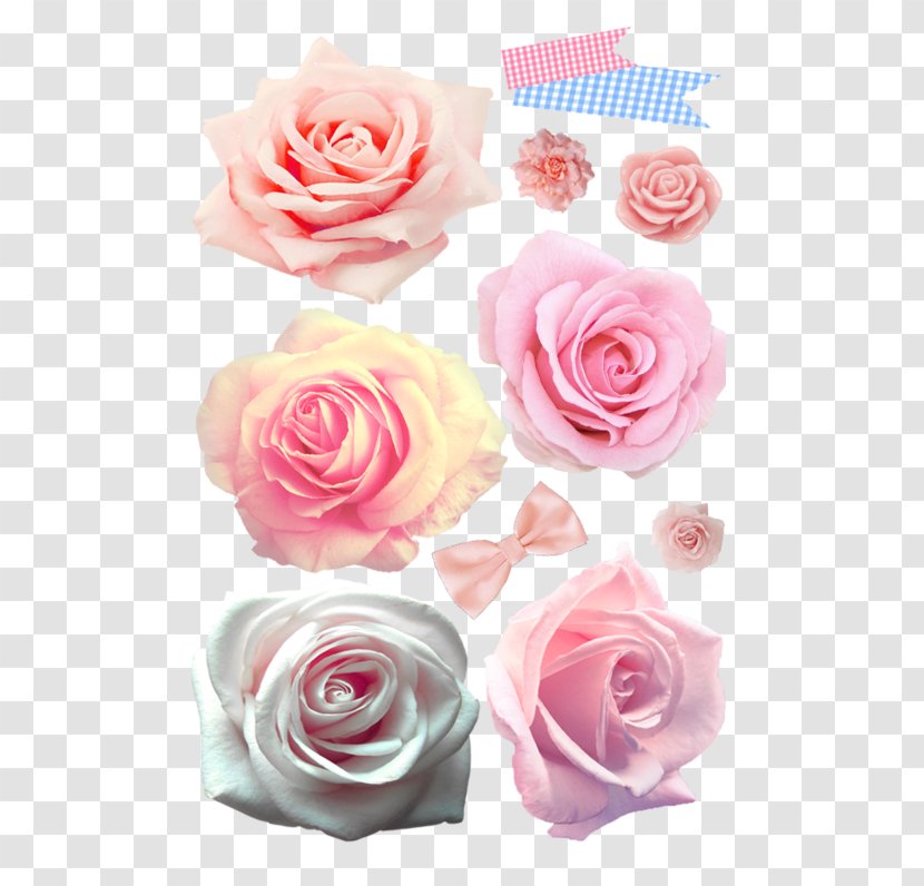 Poems For Everyone Except George Garden Roses Cabbage Rose Floral Design Cut Flowers - Flower Arranging - Text Transparent PNG