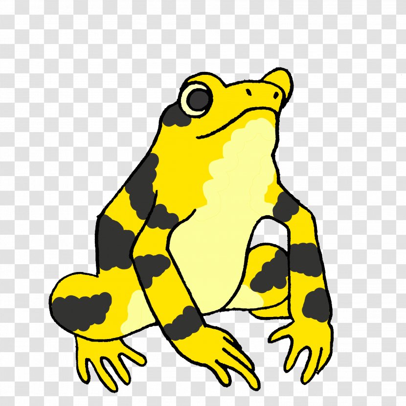 True Frog Amphibian Panamanian Golden Toad - Artwork Transparent PNG