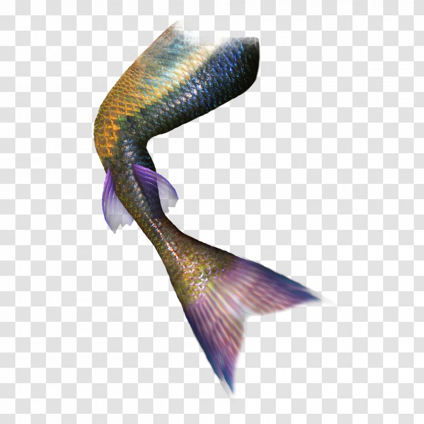 Tail Mermaid Green Fish - Raster Graphics - Creative Decorative Transparent PNG