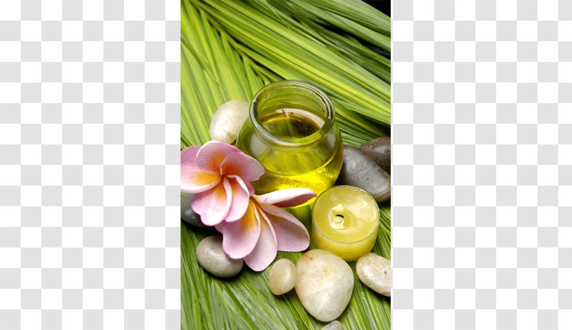 Alternative Health Services Natural Foods Medicine Superfood - Oil Poster Image Transparent PNG