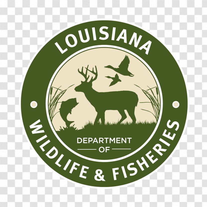 Louisiana Department Of Wildlife And Fisheries Venice Hunting License Fishing Transparent PNG