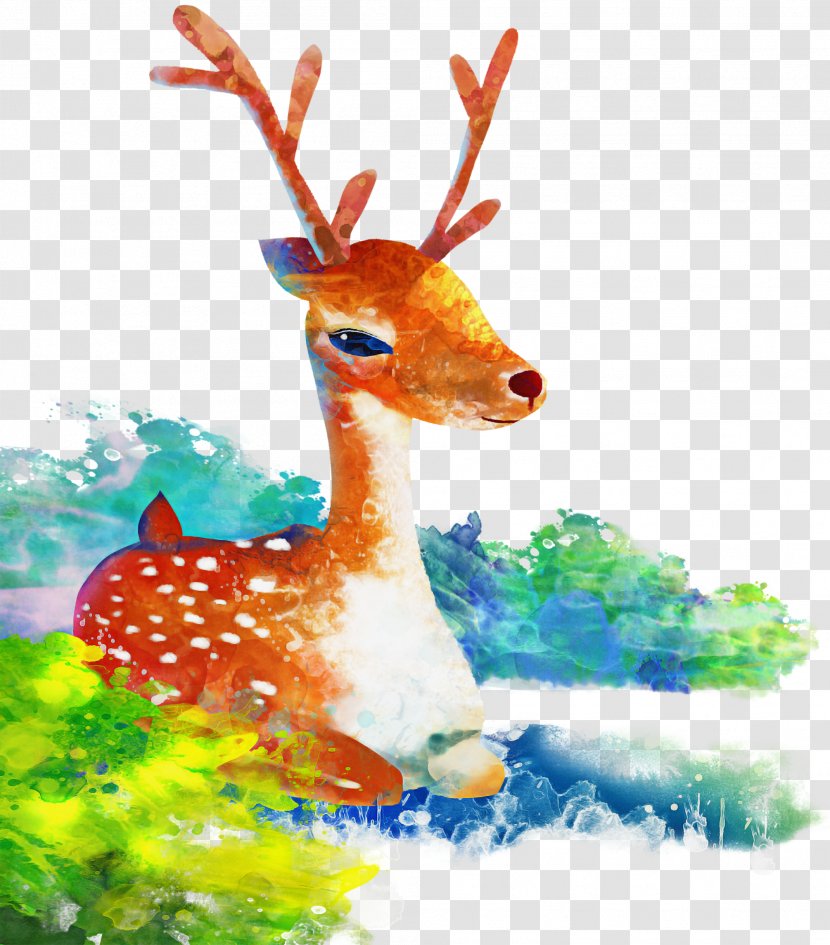 Reindeer - Deer - Fawn Watercolor Paint Transparent PNG