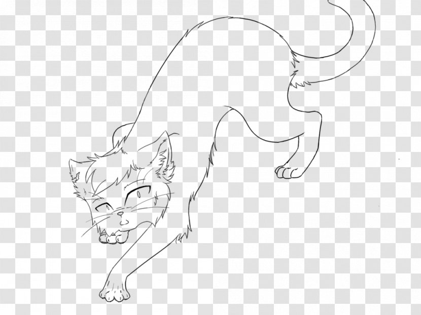 Cat Whiskers Line Art Kitten Sketch - Flower Transparent PNG
