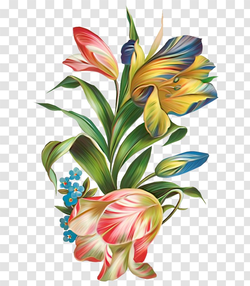 Flower Petal Clip Art - Flowering Plant - Water Transparent PNG