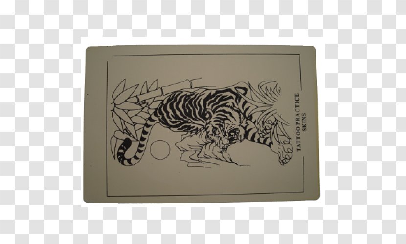 Tiger Big Cat Drawing Skin - Mammal Transparent PNG