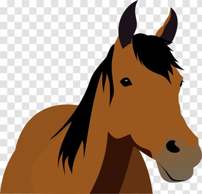 Horse Mare Stallion Equestrian Clip Art - Centre Transparent PNG
