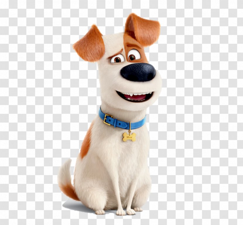 Universal Pictures The Secret Life Of Pets Film Illumination Animation - Dog Breed - Companion Transparent PNG