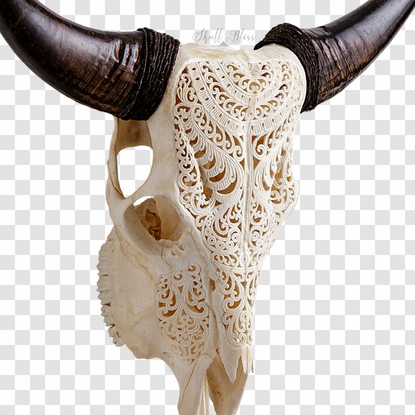 Shorthorn Skull Sahiwal Cattle Goat - Measurement - Luxurious Texture Carving Transparent PNG