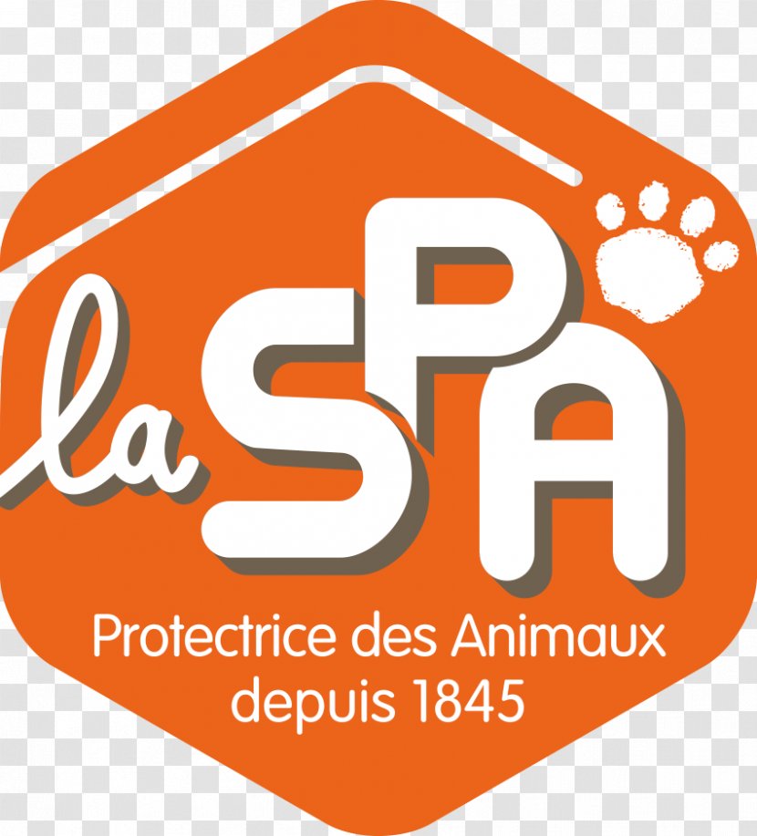 Société Protectrice Des Animaux Dispensary SPA Marseille Animal Shelter Cat Chamarande - Dog - Salon Logo Transparent PNG
