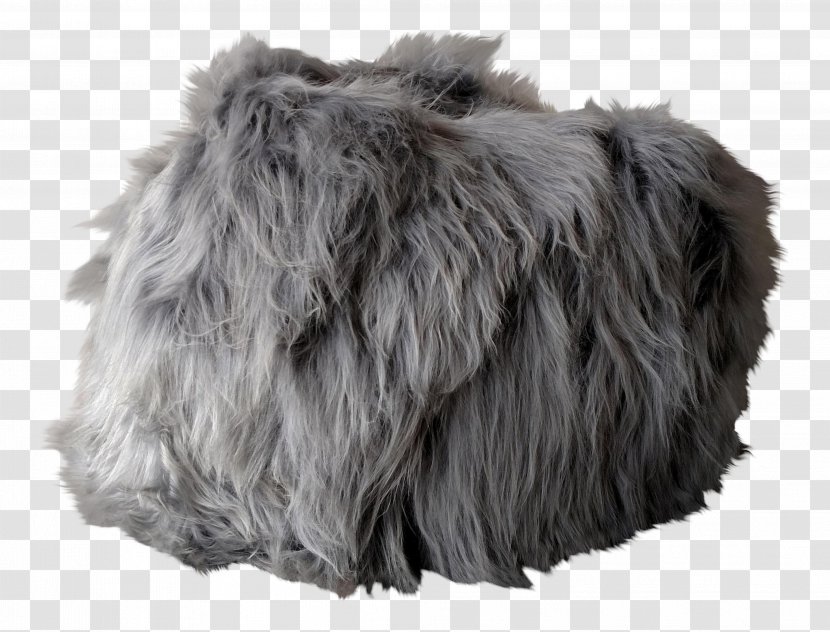 Fur Snout Grey - Bean Bag Chair Transparent PNG