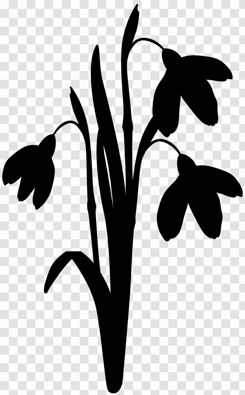 Clip Art Leaf Silhouette Line Plant Stem - Twig - Pedicel Transparent PNG