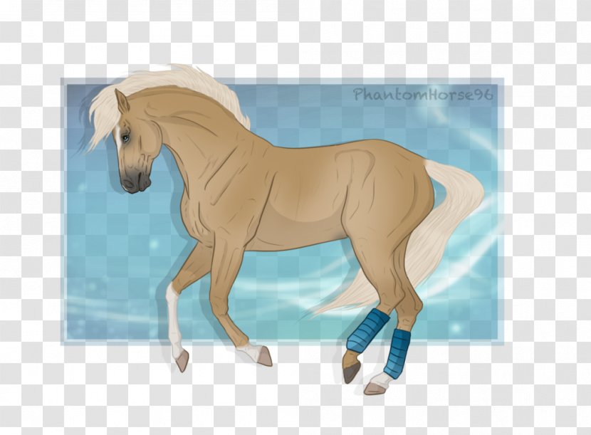 Mustang Stallion Mare Halter Rein Transparent PNG