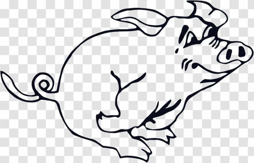 Large White Pig Clip Art - Cartoon - Line Transparent PNG