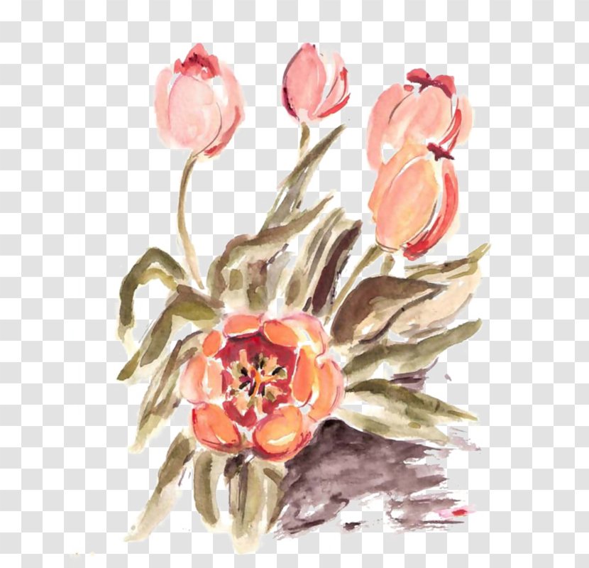 Flower Art Watercolor - Drawing - Magnolia Wildflower Transparent PNG