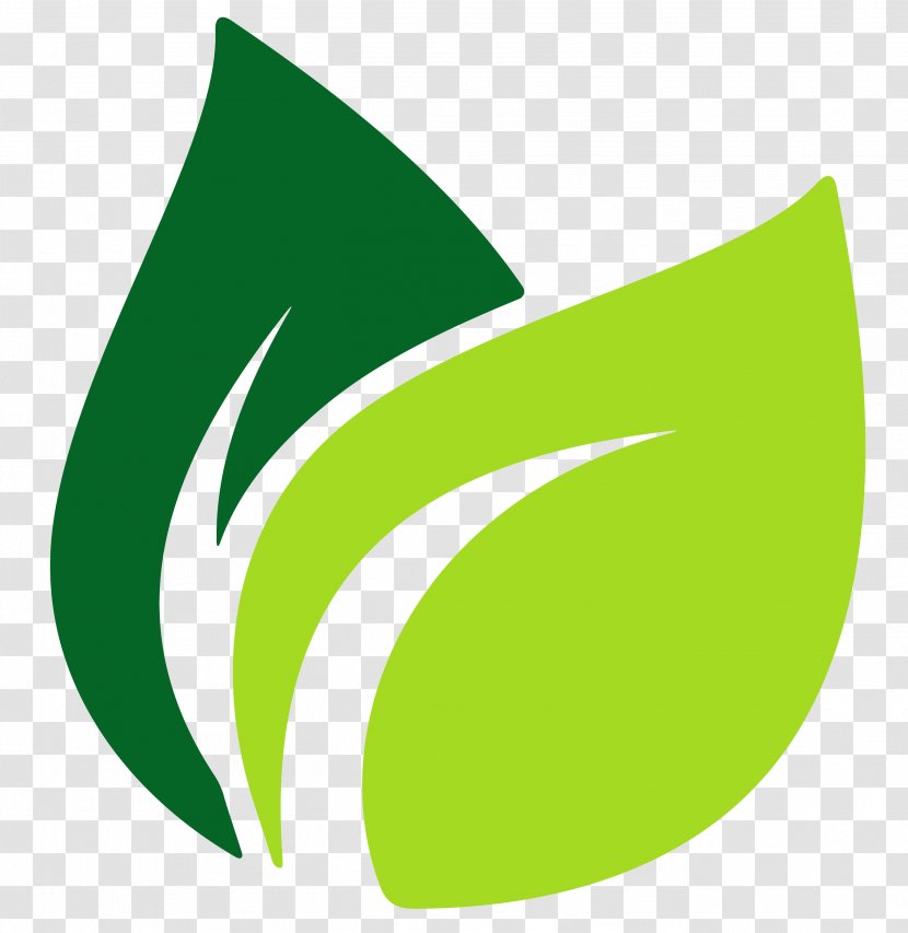 Leaf Logo - Green - Banana Leaves Transparent PNG