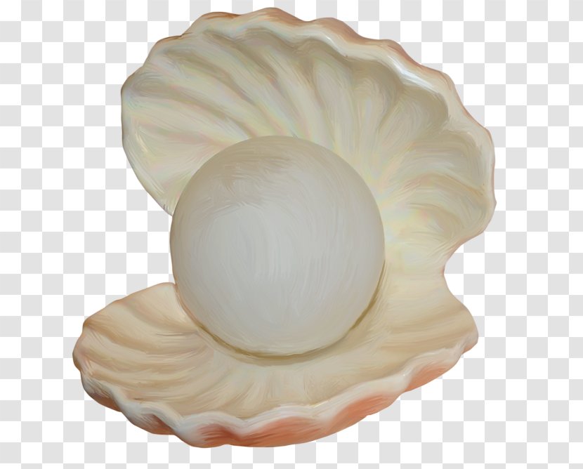 Seashell Mollusc Shell Molluscs Clip Art Transparent PNG
