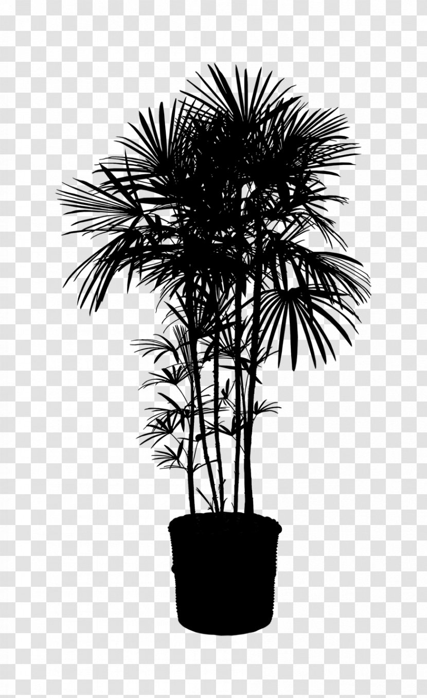 Asian Palmyra Palm Houseplant Trees Clip Art Plants - Date Transparent PNG