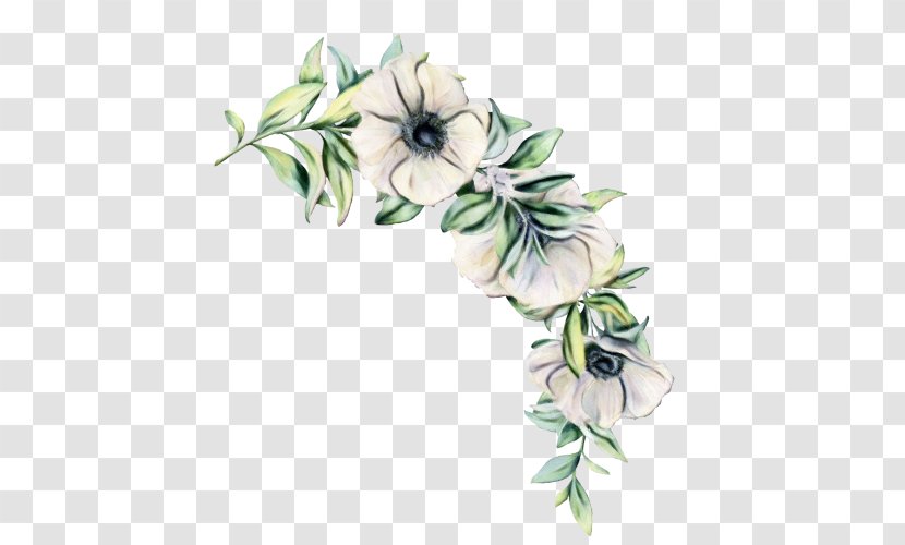 Floral Flower Background - Petal - Morning Glory Transparent PNG