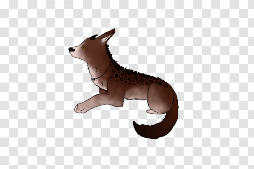 Red Fox Fauna Kangaroo Fur Tail Transparent PNG