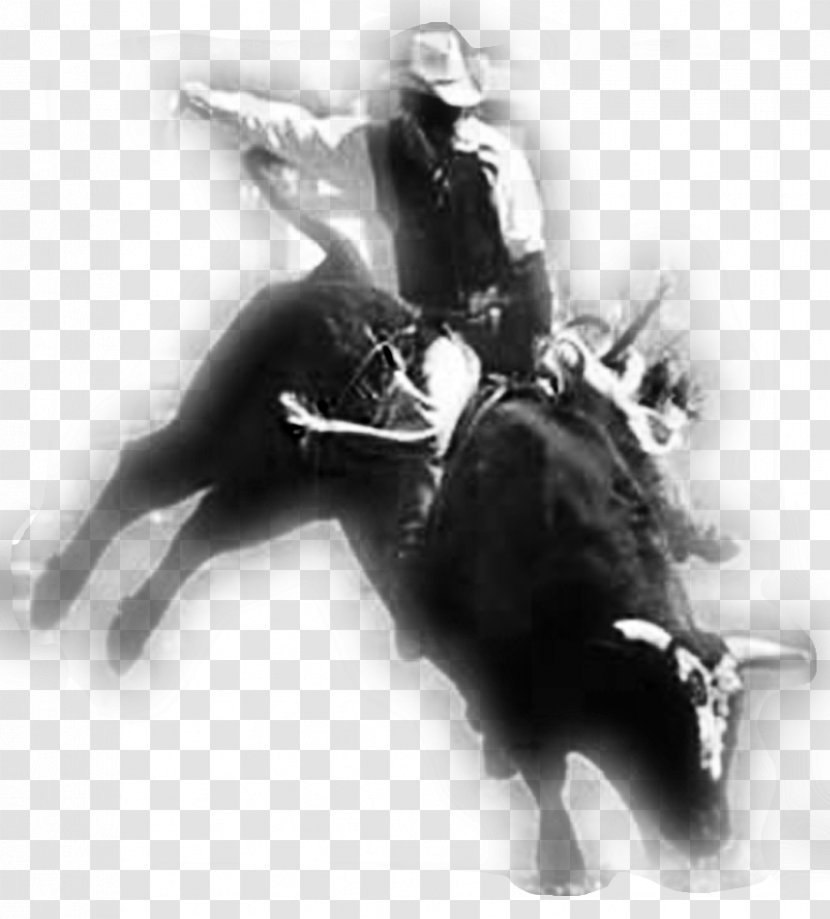 Bull Riding Rodeo Professional Riders Horse - Bonner Bolton Transparent PNG