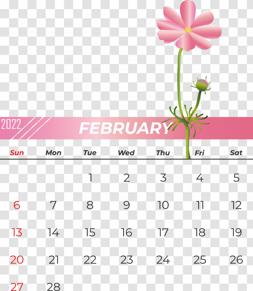 Calendar Flower Line Font Petal Transparent PNG