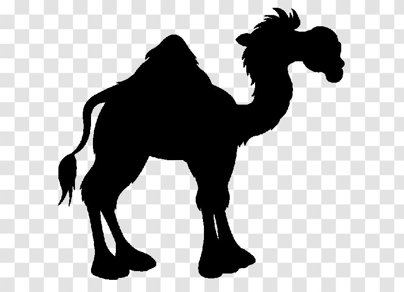 Arabian Peninsula Battle Of The Camel Rashidun Caliphate Uhud Banu Taym - Youtube - Livestock Transparent PNG