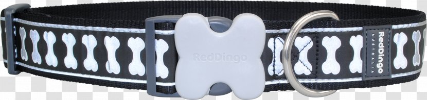 Dog Dingo Collar Leash - Watch Strap Transparent PNG
