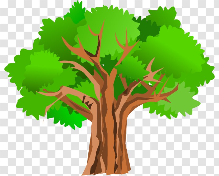 Tree Giant Sequoia Oak Clip Art - Royaltyfree - Summer Cliparts Transparent PNG