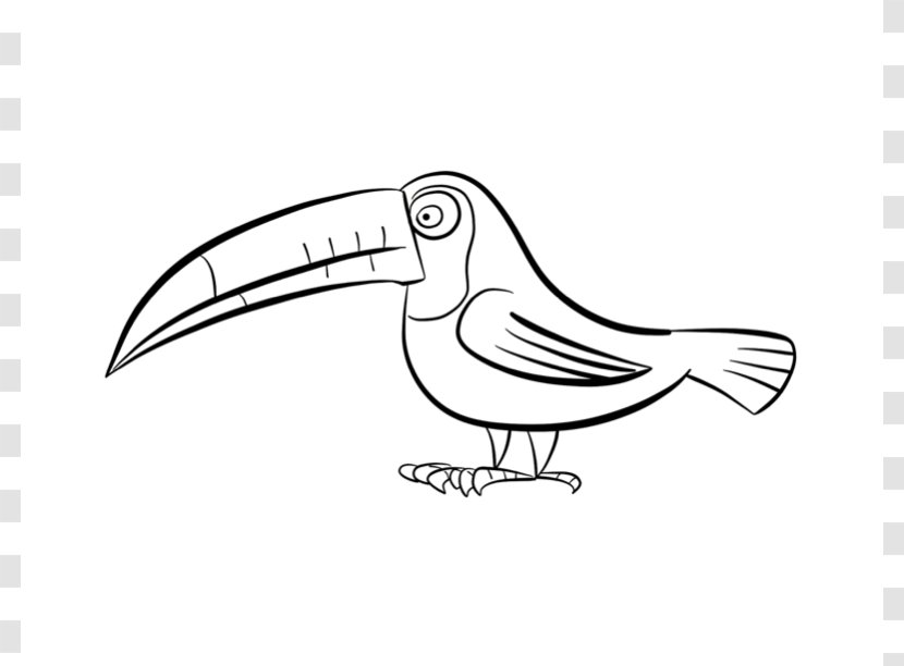 Beak Black And White Drawing Clip Art - Toucan - Outline Transparent PNG