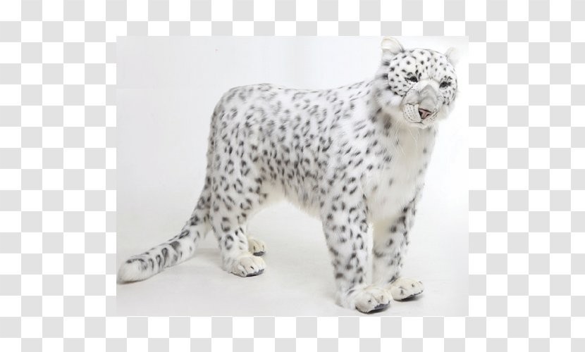 Snow Leopard Tiger Stuffed Animals & Cuddly Toys Transparent PNG