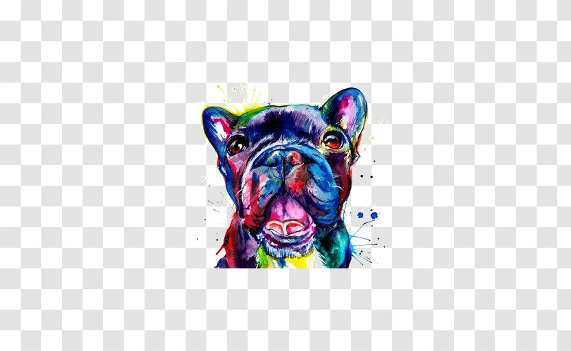 French Bulldog Pug Drawing Watercolor Painting Transparent PNG