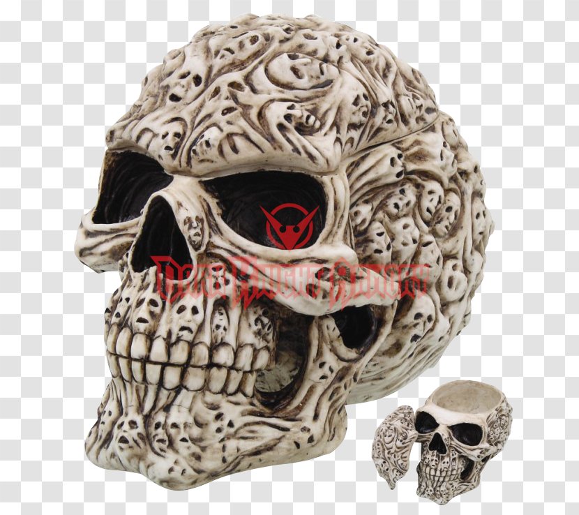 Human Skull Symbolism Skeleton Jar Calavera Transparent PNG