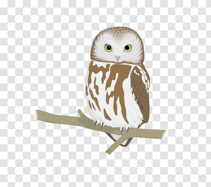 Letter Purdue University State Of Connecticut Department Mental Health And Addiction Services Word - O - Lovely Owl Transparent PNG