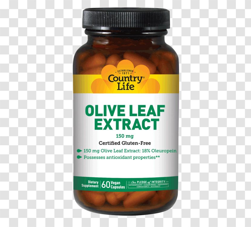 Dietary Supplement Vitamin B-6 B Vitamins Carnitine - Protein - Olive Leaf Transparent PNG