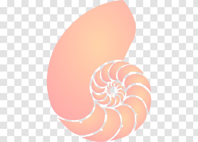 Coral Reef Clip Art - Heart - Seashell Transparent PNG