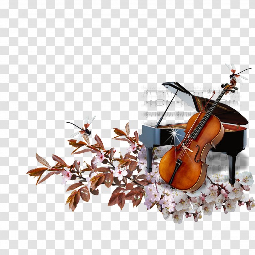 Piano Cello String Musical Instrument - Frame - A Transparent PNG