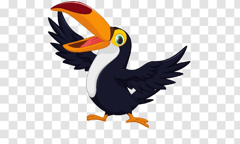 Bird Toucan Parrot Clip Art - Royaltyfree Transparent PNG
