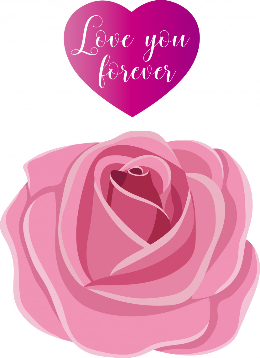 Garden Roses Transparent PNG