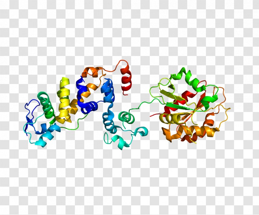 F-box Protein Fbx15 Gene Family - Tree - Silhouette Transparent PNG