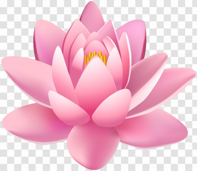 Light Day Spa Beauty Parlour - Herbalism - Pink Lily Flower Clip Art Image Transparent PNG