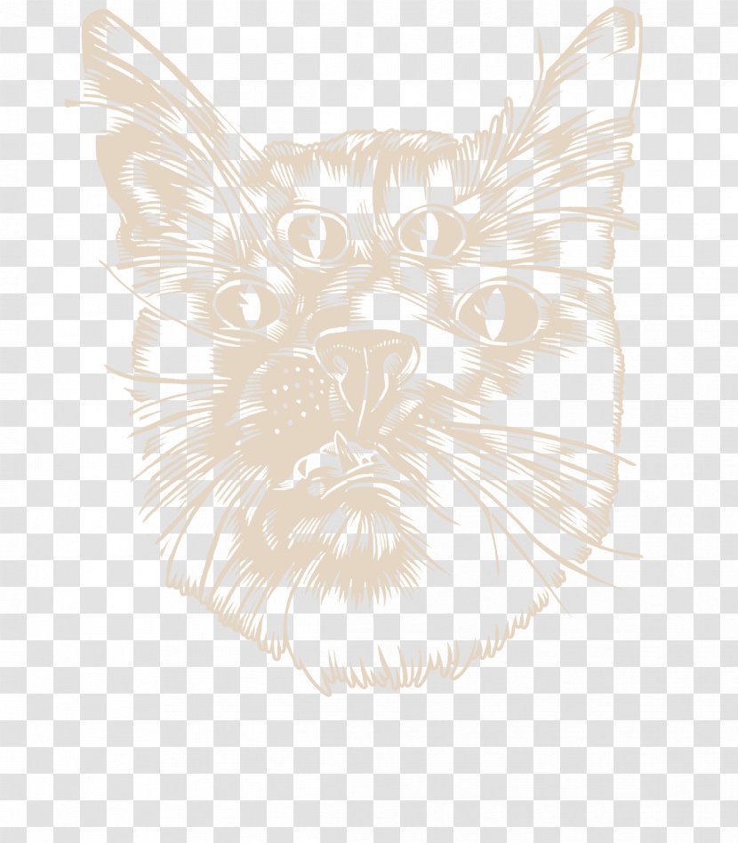 Dog Whiskers Visual Arts Paw Sketch - Carnivoran Transparent PNG