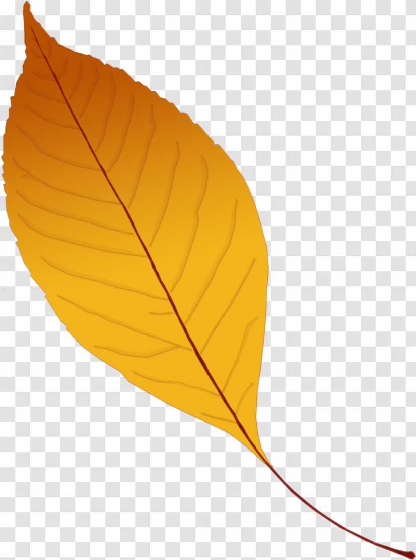 Leaf Yellow Branch Clip Art - Plant - Autumn Leaves Transparent PNG