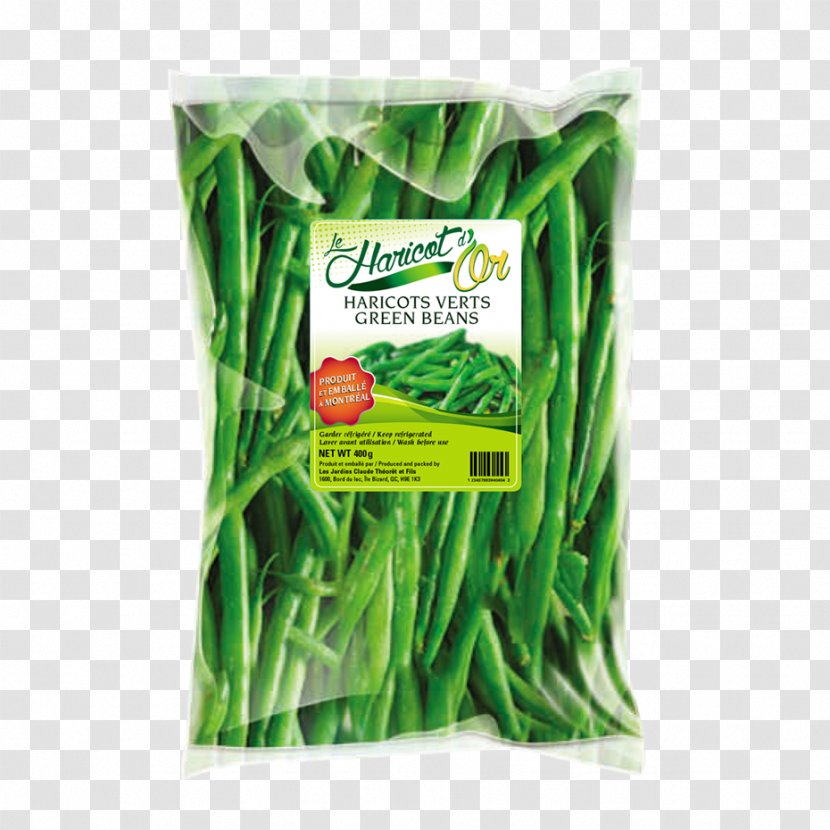 Green Bean Commodity - Photocopie Transparent PNG