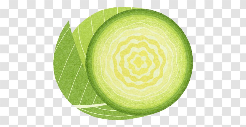 Red Cabbage Vegetable Food Illustration - Cucumber Transparent PNG