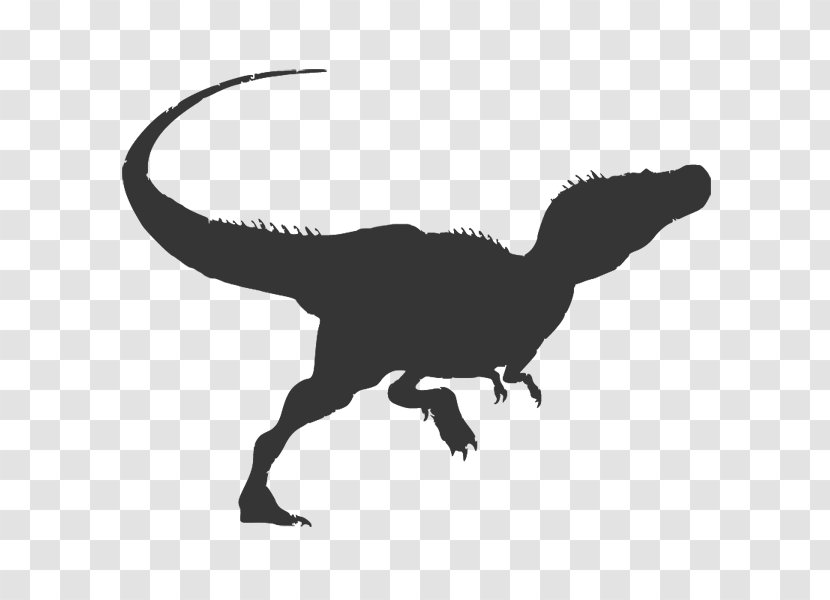 Tyrannosaurus Velociraptor Triceratops Stegosaurus Dinosaur - Silhouette Transparent PNG