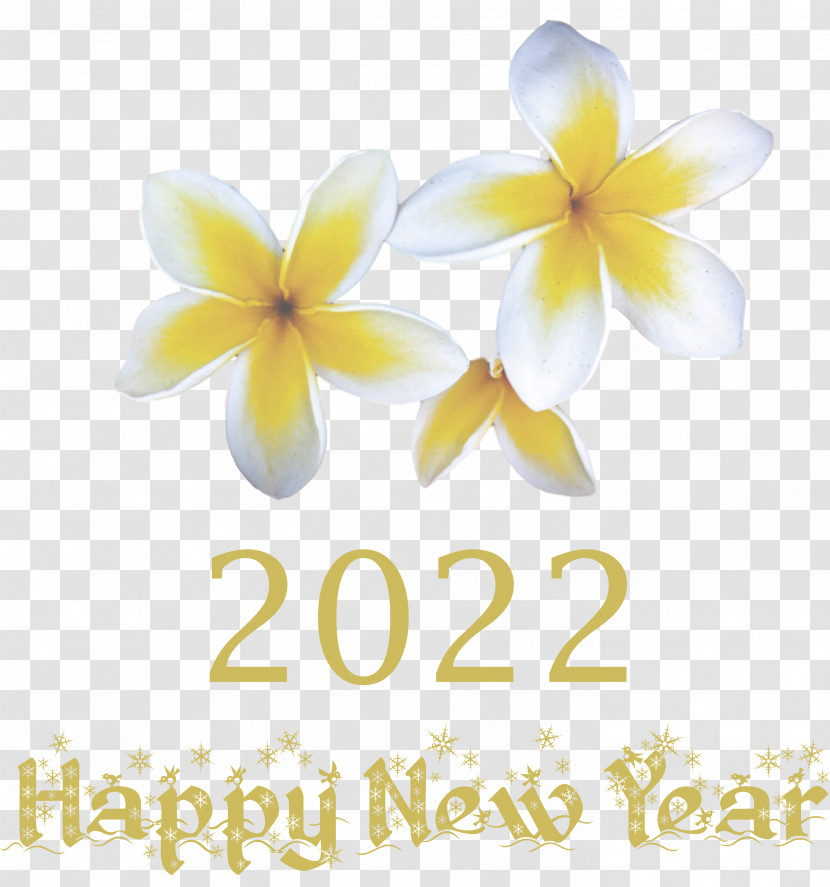 2022 Happy New Year 2022 New Year 2022 Transparent PNG