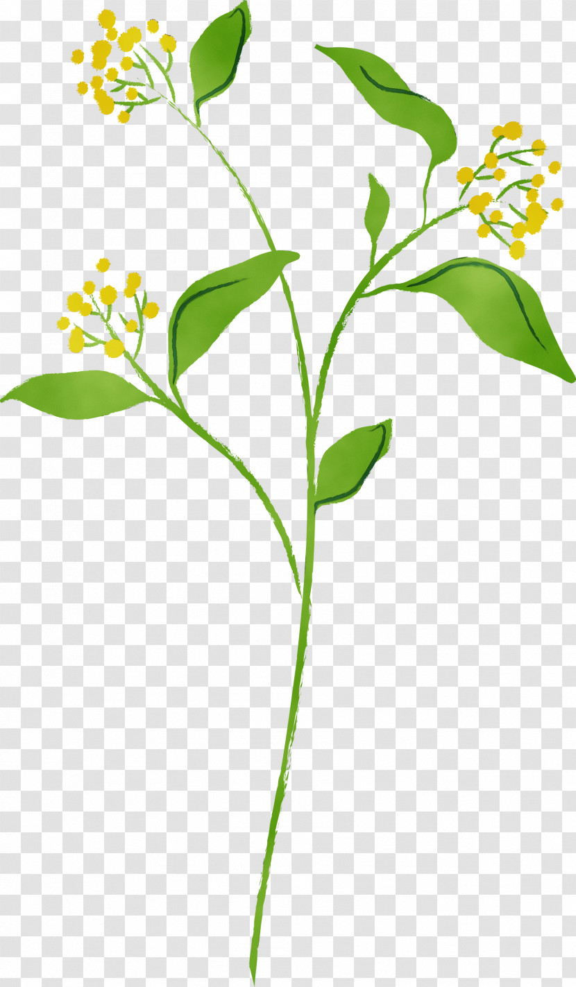 Flower Plant Plant Stem Leaf Pedicel Transparent PNG