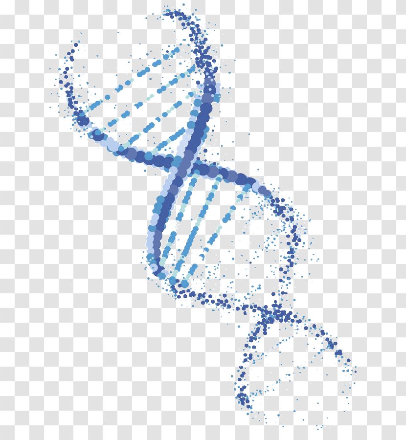 DNA Vector Genetically Modified Organism Genetics Transparent PNG